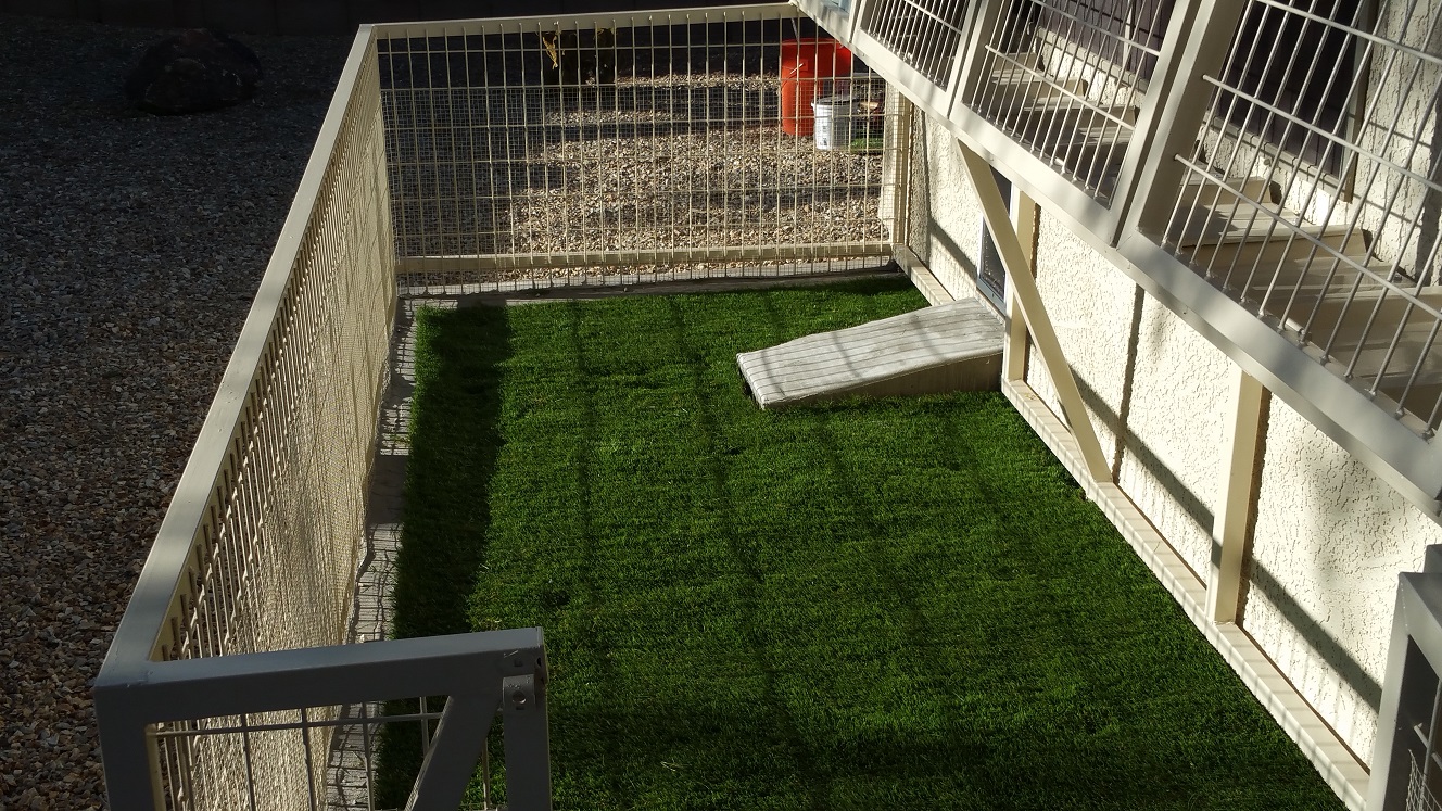 Kennels with Grass Flooring.
