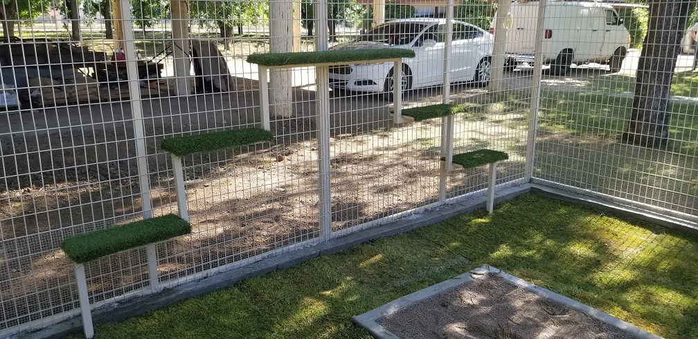 Kennels That Keep Coyotes OUT! 