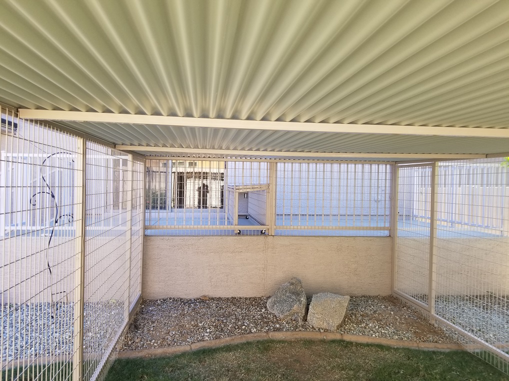 Coyote Resistant Kennels For Cats