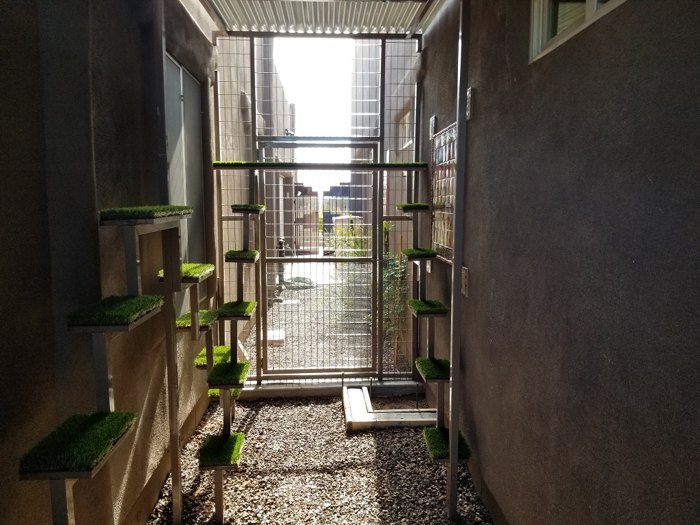 Cat Kennels For Sale and Installation!